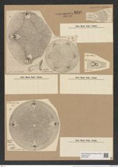 Aulacodiscus lollittianus Norm. (de-Toni-Nr.: Genus 182, Species 4563) Zeichnungen Sammlung Grunow Nr. 8183 (NHMW-BOT-W0377559)